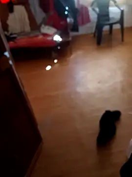 Dropepe1995 online show from October 25, 2025, 6:52 pm