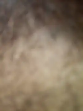 rashid-khan786 online show from April 22, 2026, 8:32 am