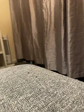 Snapshot of queenwetness chatting on September 17, 2025, 6:54 pm queenwetness online show from September 17, 2025, 6:54 pm