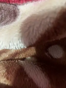 Snapshot of satisfyursoul chatting on November 26, 2025, 5:02 pm satisfyursoul online show from November 26, 2025, 5:02 pm