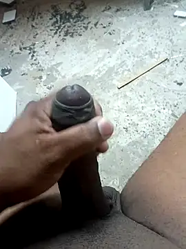 preto3561 online show from November 17, 2025, 4:44 pm