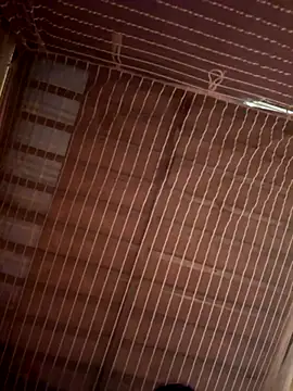 Tramy xx online show from October 21, 2025, 6:57 am