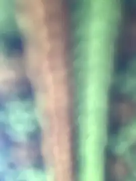 Halyy xx online show from January 8, 2026, 6:52 am