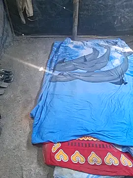 TNestorT online show from November 26, 2025, 3:12 pm