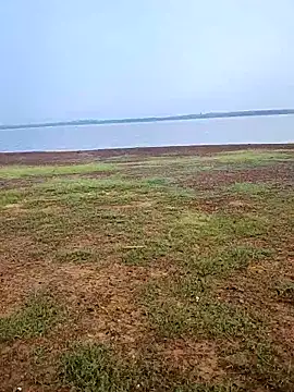 telugumodda4396 online show from October 12, 2025, 1:40 am