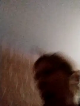 Snapshot of Ponka2011 chatting on February 27, 2026, 5:51 am Ponka2011 online show from February 27, 2026, 5:51 am