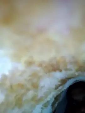 Snapshot of alone_boy802 chatting on October 30, 2025, 6:23 am alone boy802 online show from October 30, 2025, 6:23 am