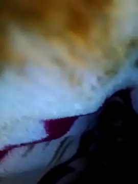 Snapshot of alone_boy802 chatting on October 1, 2025, 6:01 pm alone boy802 online show from October 1, 2025, 6:01 pm