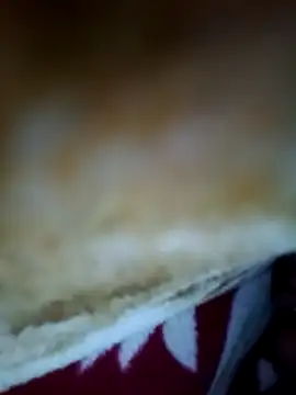 Snapshot of alone_boy802 chatting on November 6, 2025, 4:22 pm alone boy802 online show from November 6, 2025, 4:22 pm