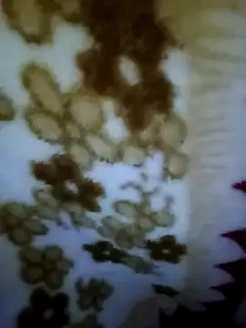 Snapshot of alone_boy802 chatting on November 2, 2025, 8:19 am alone boy802 online show from November 2, 2025, 8:19 am