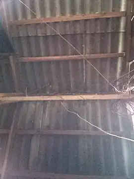 vtmbae online show from November 2, 2025, 1:10 am