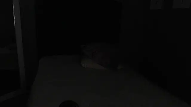 Vic Taylor online show from November 7, 2025, 12:37 am