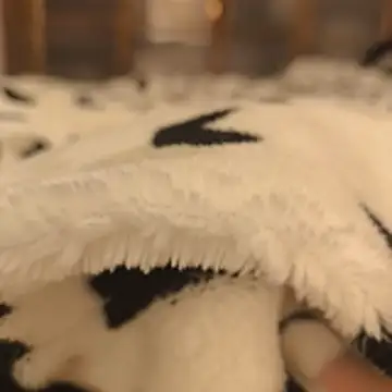 Snapshot of Geilerboy262 chatting on November 15, 2025, 10:14 pm Geilerboy262 online show from November 15, 2025, 10:14 pm