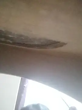 Snapshot of ZANUAAA chatting on September 24, 2025, 6:31 am ZANUAAA online show from September 24, 2025, 6:31 am