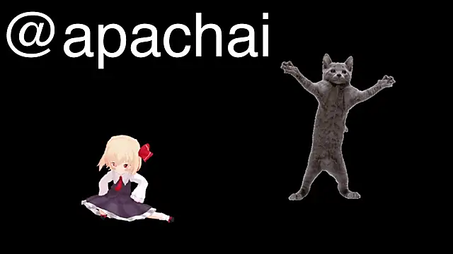 apachai test online show from February 26, 2026, 12:16 pm