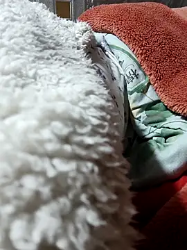 Snapshot of Paul-paul11 chatting on January 7, 2026, 9:53 pm Paul-paul11 online show from January 7, 2026, 9:53 pm