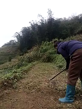 Snapshot of zhen-zo chatting on October 31, 2025, 2:19 am zhen-zo online show from October 31, 2025, 2:19 am