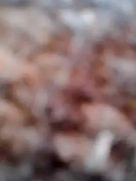 Snapshot of Rs_sonam chatting on February 6, 2026, 2:51 am Rs sonam online show from February 6, 2026, 2:51 am