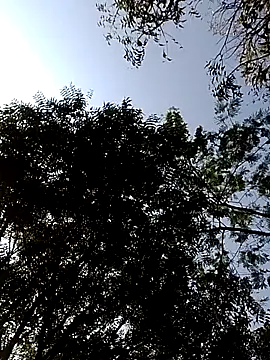 Snapshot of Rs_sonam chatting on February 14, 2026, 3:51 am Rs sonam online show from February 14, 2026, 3:51 am