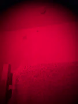 bellacagyal online show from February 2, 2026, 9:19 am