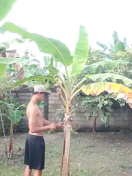 The boy good online show from February 25, 2026, 8:41 pm