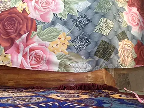 Your seema 208 online show from November 19, 2025, 6:13 am