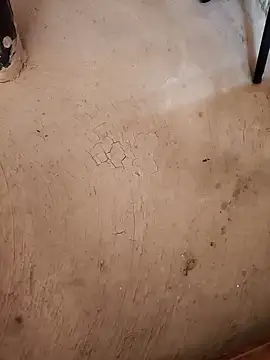 Your seema 208 online show from October 17, 2025, 7:22 am