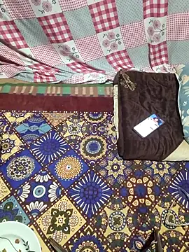 Your seema 208 online show from November 12, 2025, 11:47 am