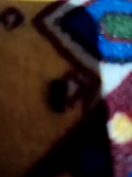 Your seema 208 online show from November 16, 2025, 1:16 pm