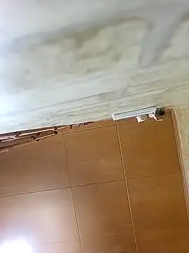 Apeesynka55211 online show from October 19, 2025, 4:32 pm