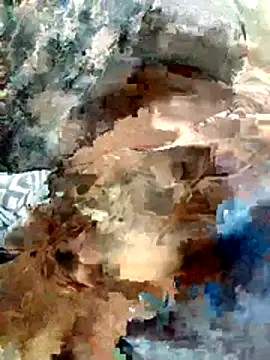 harinisree online show from December 2, 2025, 2:41 pm