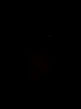 RAJV  online show from October 15, 2025, 2:21 am