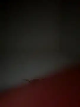 Snapshot of lekkerepik1111 chatting on November 10, 2025, 5:23 am lekkerepik1111 online show from November 10, 2025, 5:23 am