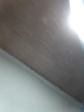 Meloddy   online show from November 21, 2025, 1:54 pm