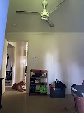 Snapshot of GonKss chatting on March 14, 2026, 1:11 am GonKss online show from March 14, 2026, 1:11 am