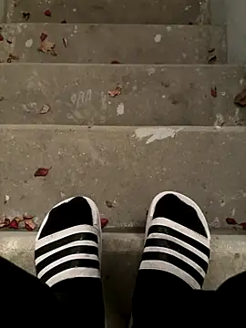 max22palm online show from November 6, 2025, 10:03 pm