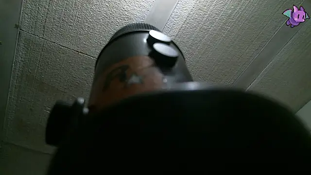 Snapshot of Dickie_Dicking chatting on February 11, 2026, 10:09 pm Dickie Dicking online show from February 11, 2026, 10:09 pm