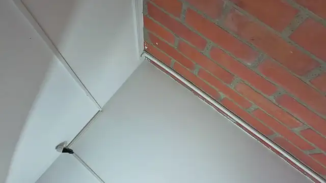 Zoe Blond online show from November 25, 2025, 3:40 am