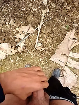 Sikici0734 online show from April 1, 2026, 11:33 am