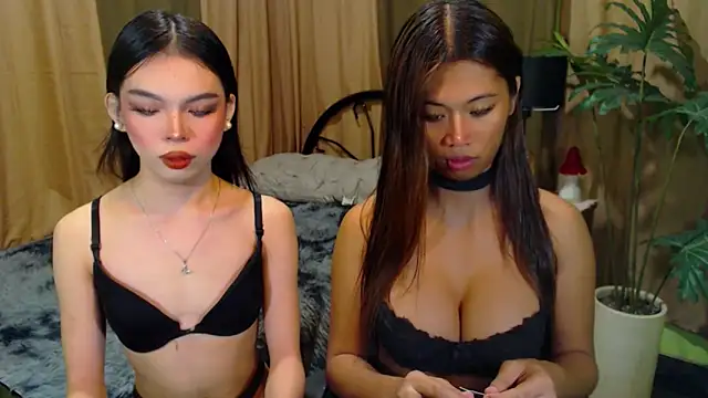 Snapshot of TWINKTRANSSHANEL chatting on October 12, 2025, 4:36 am TWINKTRANSSHANEL online show from October 12, 2025, 4:36 am