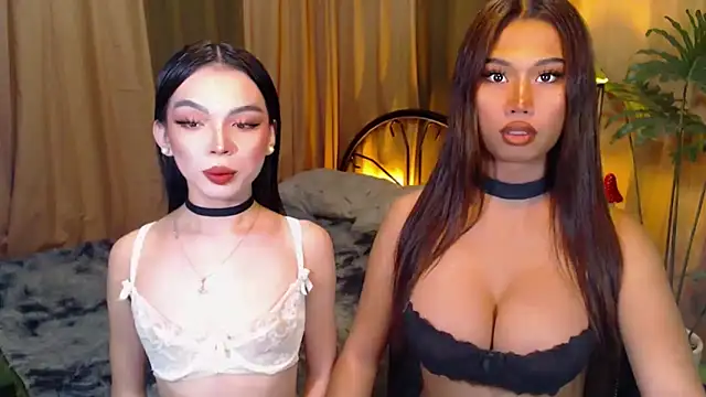 Snapshot of TWINKTRANSSHANEL chatting on October 8, 2025, 4:25 am TWINKTRANSSHANEL online show from October 8, 2025, 4:25 am