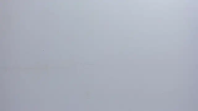 Malory  Jones online show from December 1, 2025, 6:53 pm