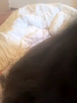 Snapshot of luciamaria01 chatting on October 25, 2025, 7:18 am luciamaria01 online show from October 25, 2025, 7:18 am