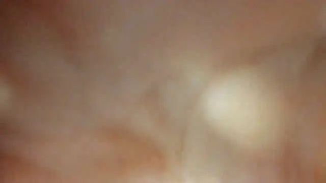 sexyboys cutex18 online show from December 19, 2025, 8:44 pm