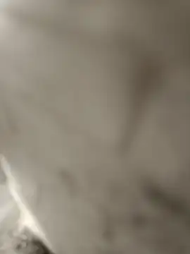 pn12345 online show from December 17, 2025, 4:28 am