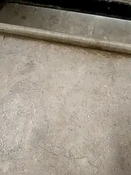 pn12345 online show from November 30, 2025, 4:02 am