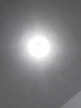 Snapshot of _Bella_Beth_ chatting on November 30, 2025, 2:12 am Bella Beth online show from November 30, 2025, 2:12 am