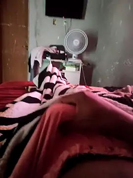 Snapshot of picadme chatting on October 6, 2025, 5:02 pm picadme online show from October 6, 2025, 5:02 pm