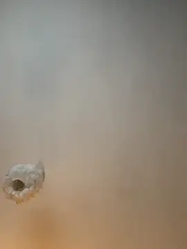 Teengirlmiaa online show from November 9, 2025, 1:59 pm