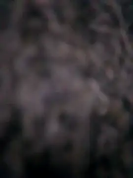 Snapshot of Ripe_me chatting on November 10, 2025, 10:20 am Ripe me online show from November 10, 2025, 10:20 am